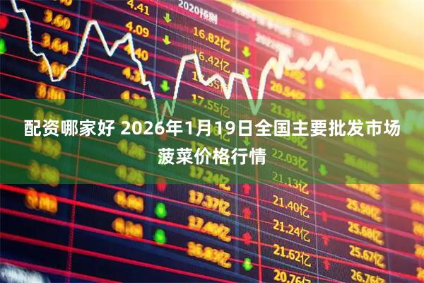 配资哪家好 2026年1月19日全国主要批发市场菠菜价格行情