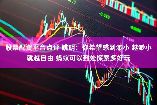 股票配资平台点评 姚明：你希望感到渺小 越渺小就越自由 蚂蚁可以到处探索多好玩